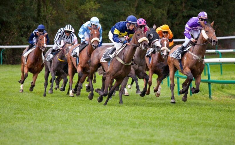 Course de chevaux